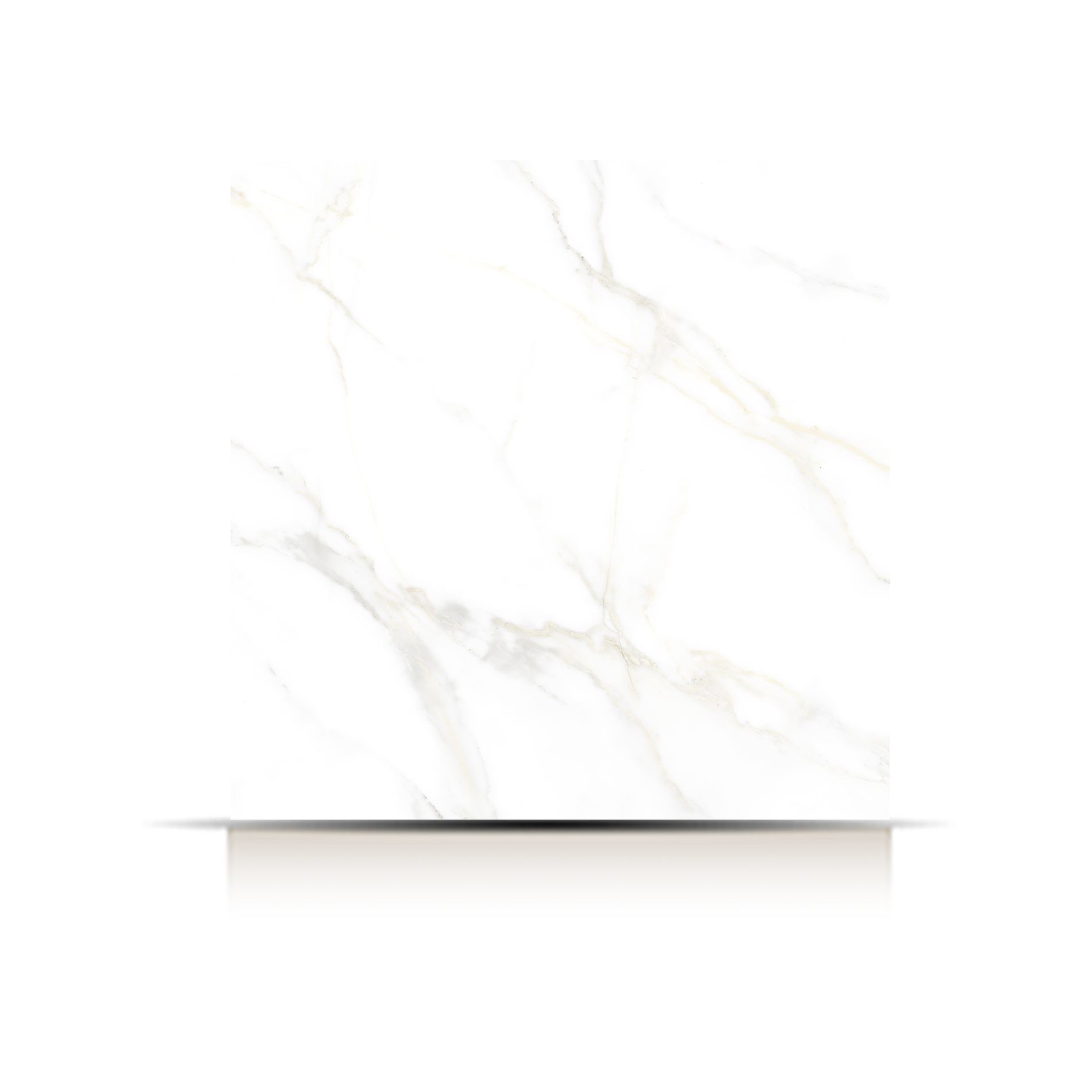 CERAMICAS CANNES PULIDO 