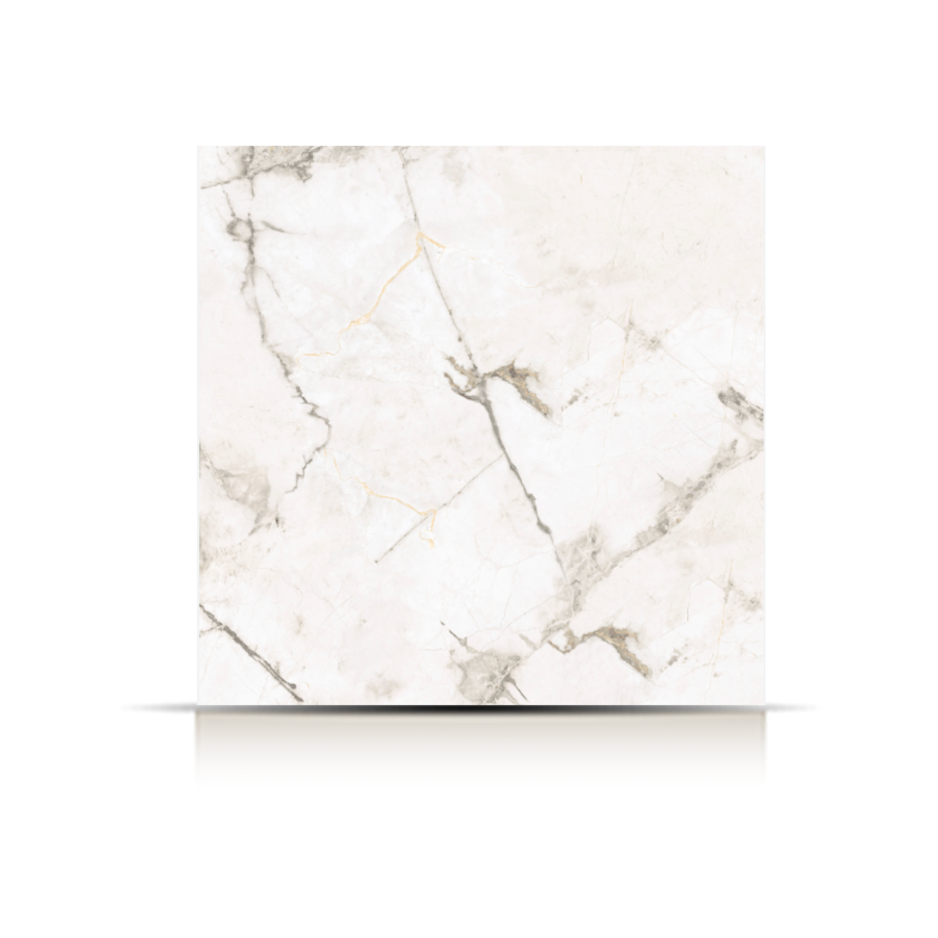 CERAMICA BREST PULIDO