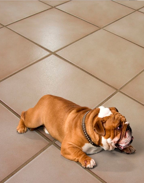 CERAMICA COTTO BEIGE